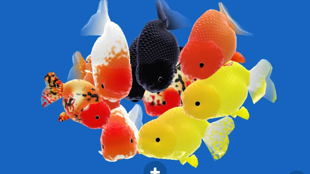 Gold Fishies